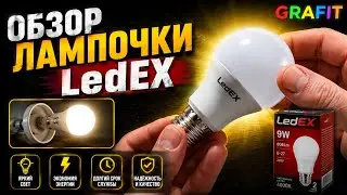 Обзор лампочки LedEX