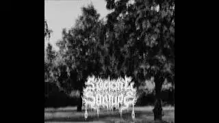 Suicidal Solitude - Pain, lament and loneliness