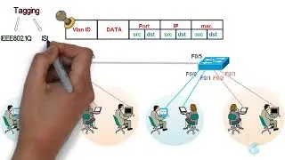 comprendre ce que sont les vlan virtual lan