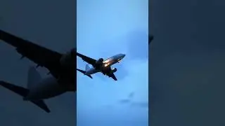 FLY #viral #shorts #fly
