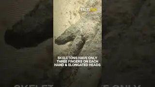 मेक्सिको में ALIEN की दो लाश मिली, दिखती है ऐसी । Two dead bodies of ALIEN found in Mexico