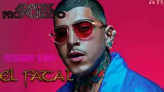 Get ready for the hottest dembow dominicano of 2024 with EL FATAL!