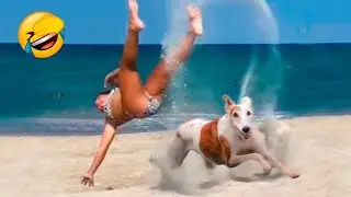 If you laugh you restart | Part 29