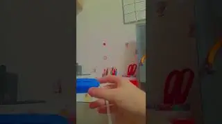 28 октября 2024 г.