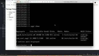 8.  Python Flask and ONTAP API