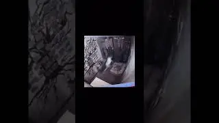 Лучшие мемы 2021. Пранк #shorts #short