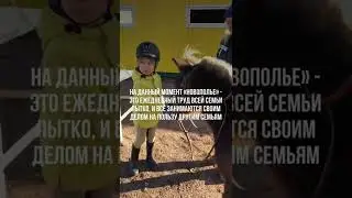 Обыкновенные герои. Светлана Лыко