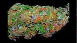 Lil Farris, M.A- Smokin'