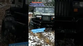 Модернизированный Газ 66. Теперь это Барсик.
