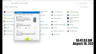 How To Change Mouse Primary Button Switch on Computer