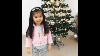 Setting up our Christmas Tree yr. 2021