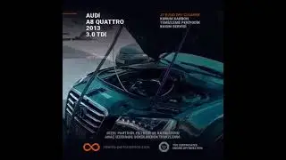 AUDI A8 Araç üzerinde sökmeden partikül temizleme % 99 sonuç