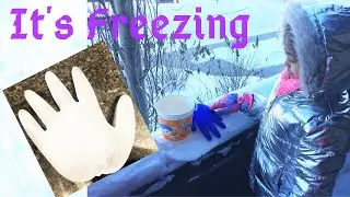 Colder than a Freezer in Calgary, Alberta, Canada