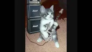 Roddy Rich   Ballin but its only cats playing it