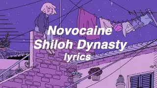 Novocaine - Shiloh Dynasty (lyrics)