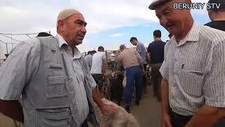 БЕРУНИЙ МОЛ КУЙ БОЗОРИ 3-КИСМ 25.06.2023