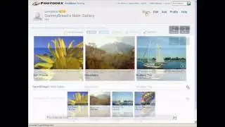 New Photodex Online Sharing