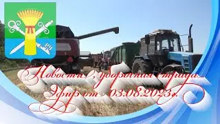 Новости, уборочная страда. Эфир от 03.08.2023г.