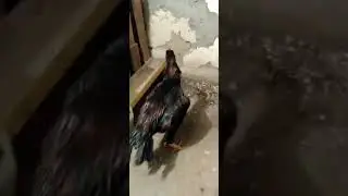 в гостях#4