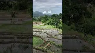 You Are In Your True NATURE 🤍💛 