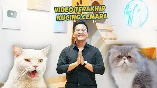VIDIO TERKAHIR KUCING CEMARA