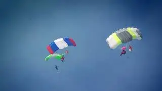 Видеоролик о сбережении лесных ресурсов
