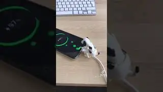 Carregar "Diferente" de cachorro