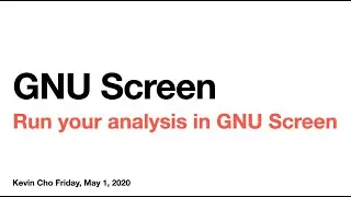 GNU screen for neuroimaging