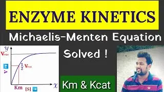 Lect 8(PIII)- | Enzyme Kinetics | Michaelis- Menten Equation | vmax | km | kcat | Reaction Rate |