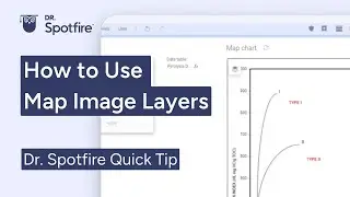 How to use Spotfire Map Image Layer