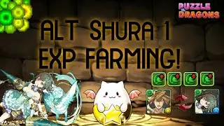 PAD | 2P ALT Shura 1 XP Swap w/ Berte! 108 Million XP Per Clear!
