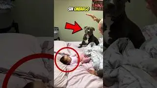#babifreitas