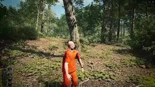 НЕДОРАЗУМЕНИЕ   | ИГРАЕМ НА SCUMFREE