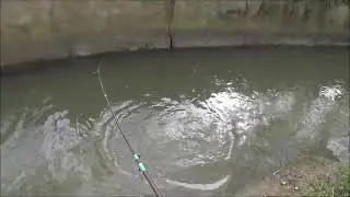 La piena mi sorprende quando sono dentro il fosso...
