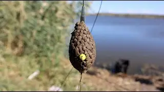 С этой кормушкой флэт половил и карпа и карася