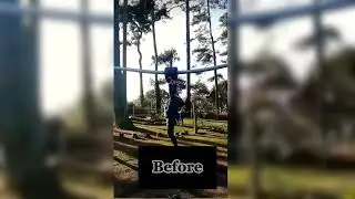 Before and after of the funniest video on YouTube