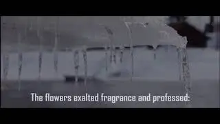 OLD Arabic Nasheed - Adfaita (English subtitles)