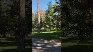 Харків Центральний Парк #kharkiv