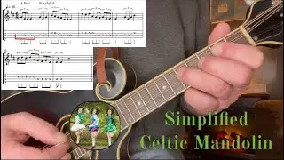 Simplified Celtic Mandolin: Swallowtail Jig Tutorial w/Tabs