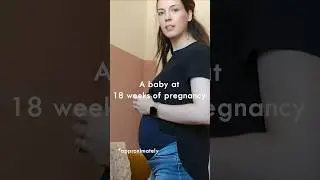 18 weeks pregnant baby size