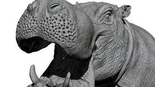 Sculpting Hippopotamus in Zbrush 2022
