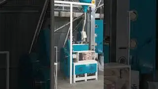 Rice mill factory full automation 10 tons per hour #rice #ricemachine #ricemill #paddy #elevator