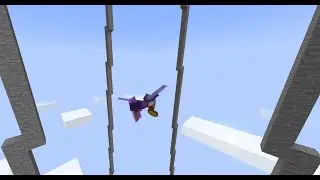 Elytra flying is cool