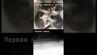 Школа мем #shorts #meme