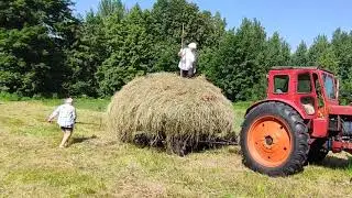 покос