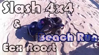 Slash 4x4 and Ecx Roost Beach Run