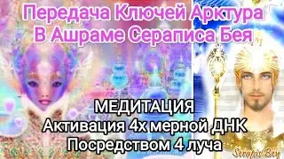 МЕДИТАЦИЯ ФИОЛЕТОВОГО ПЛАМЕНИ💜444 КЛЮЧИ АРКТУРА🧬 4D ДНК 💎ЧЕТВЁРТЫЙ ЛУЧ ЧОХАНА СЕРАПИСА БЕЯ💮