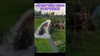 শান্তির গোসল কে কে করেছেন । #Villagevlog #viralvlog #Anowarvlog channel