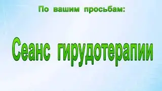 Если болит шея. Как проходит сеанс гирудотерапии. (По вашим просьбам)