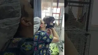 Между пациентами
